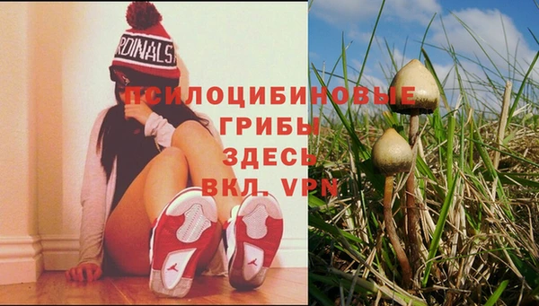 наркотики Алексин