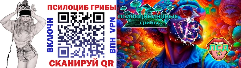 Псилоцибиновые грибы мицелий  Карачев 