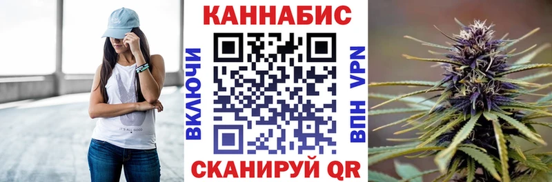 Бошки Шишки план Карачев